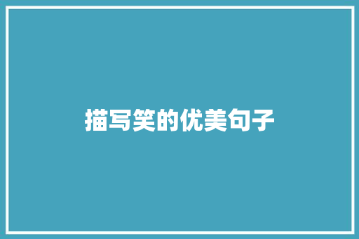 描写笑的优美句子