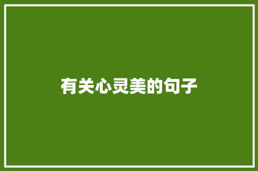 有关心灵美的句子