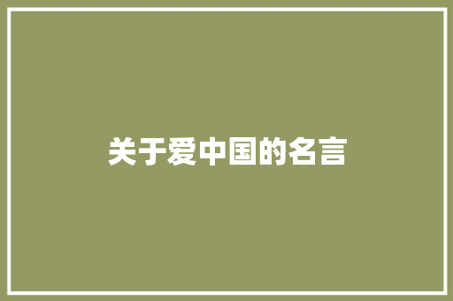 关于爱中国的名言