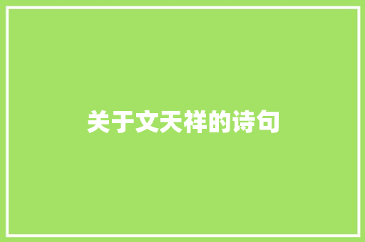 关于文天祥的诗句