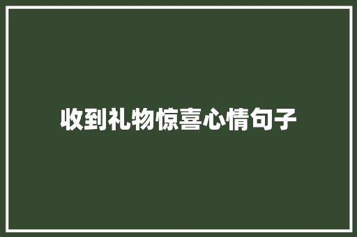 收到礼物惊喜心情句子
