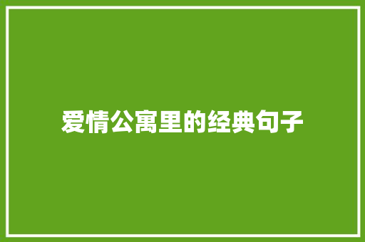 爱情公寓里的经典句子