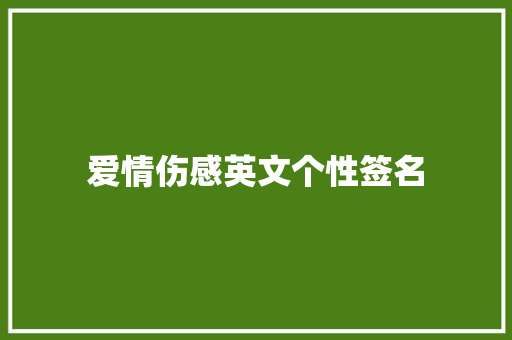 爱情伤感英文个性签名