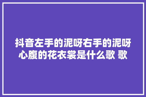 抖音左手的泥呀右手的泥呀心腹的花衣裳是什么歌 歌词完整版