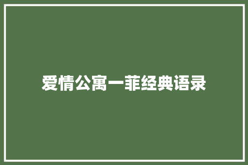 爱情公寓一菲经典语录
