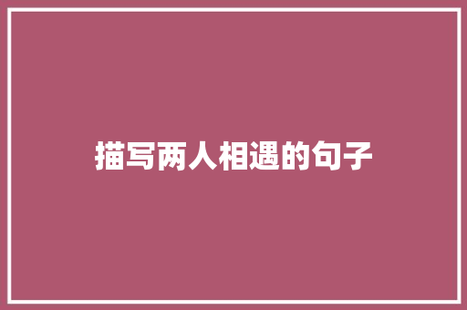 描写两人相遇的句子