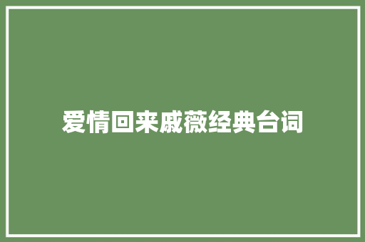爱情回来戚薇经典台词