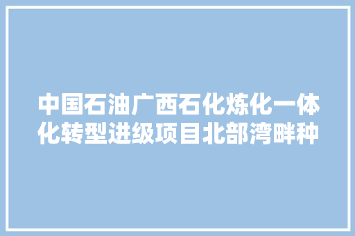 中国石油广西石化炼化一体化转型进级项目北部湾畔种下海上花
