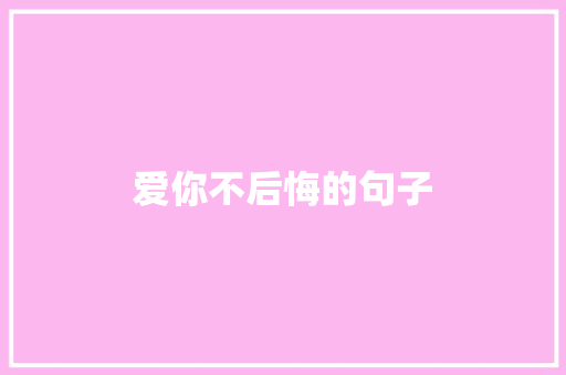 爱你不后悔的句子