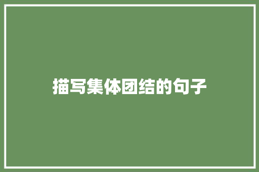 描写集体团结的句子