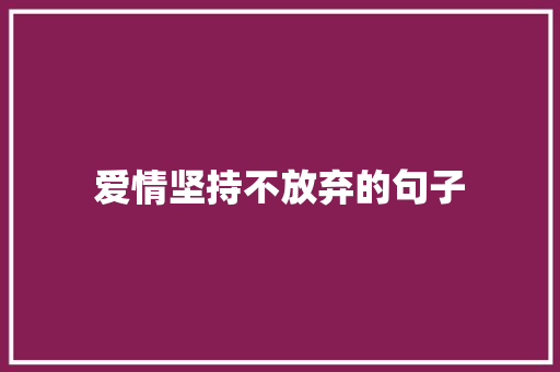 爱情坚持不放弃的句子