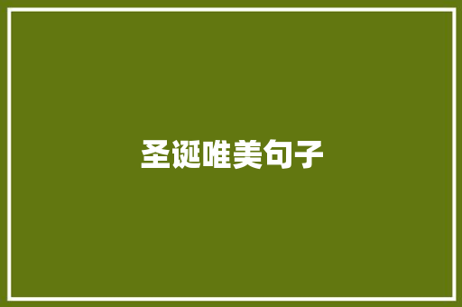 圣诞唯美句子