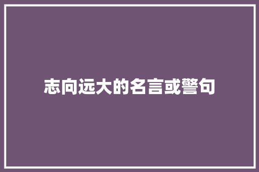 志向远大的名言或警句
