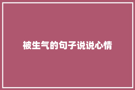 被生气的句子说说心情