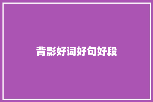 背影好词好句好段