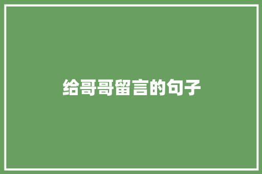 给哥哥留言的句子