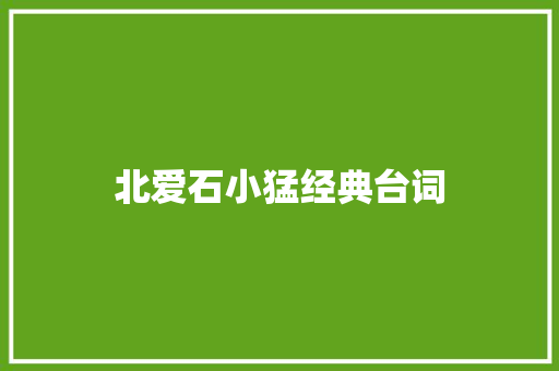 北爱石小猛经典台词 知识百科
