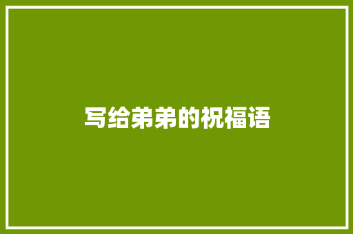 写给弟弟的祝福语