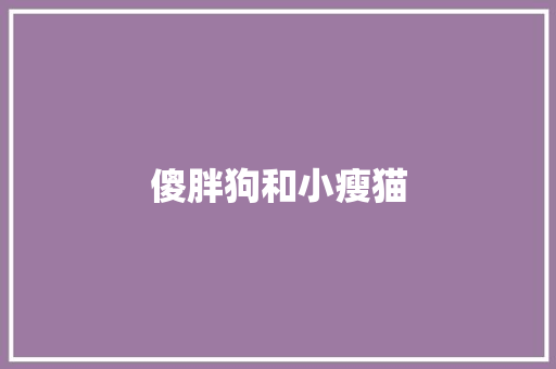 傻胖狗和小瘦猫