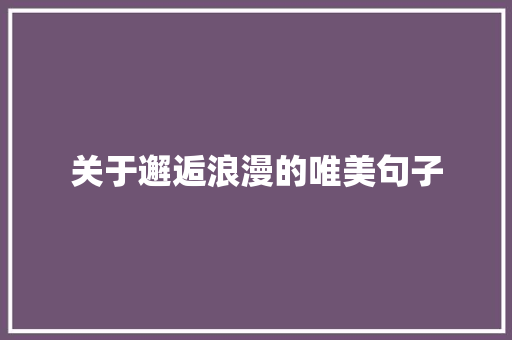 关于邂逅浪漫的唯美句子