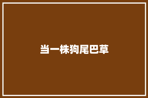 当一株狗尾巴草