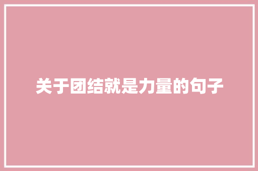 关于团结就是力量的句子