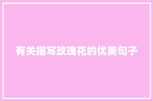 有关描写玫瑰花的优美句子