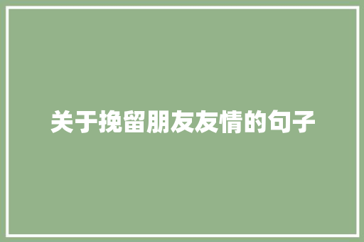 关于挽留朋友友情的句子