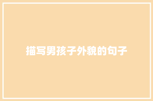 描写男孩子外貌的句子
