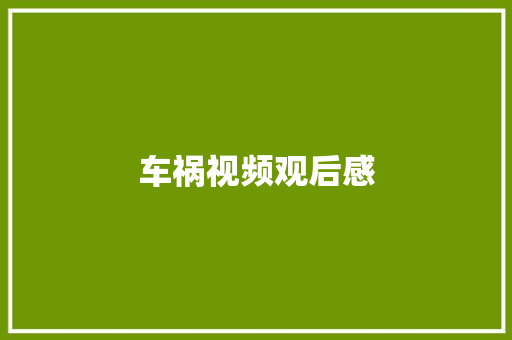 车祸视频观后感