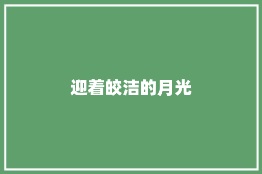 迎着皎洁的月光