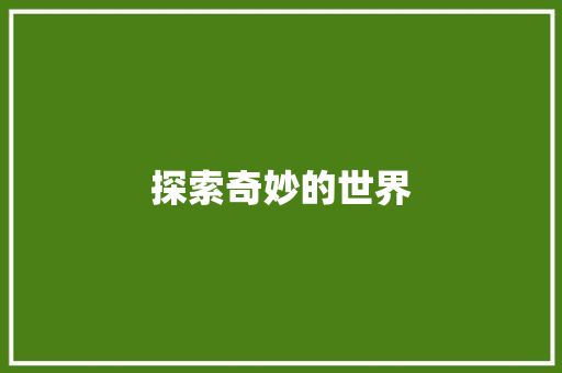探索奇妙的世界