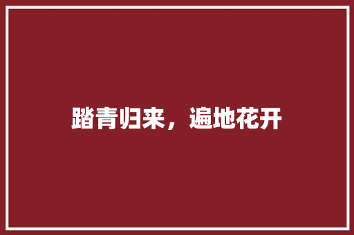 踏青归来，遍地花开