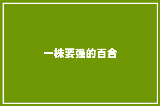 一株要强的百合