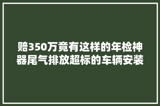 赔350万竟有这样的年检神器尾气排放超标的车辆安装一个就能蒙混过关 汽车知识