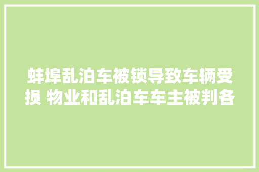 蚌埠乱泊车被锁导致车辆受损 物业和乱泊车车主被判各赔一半 汽车知识