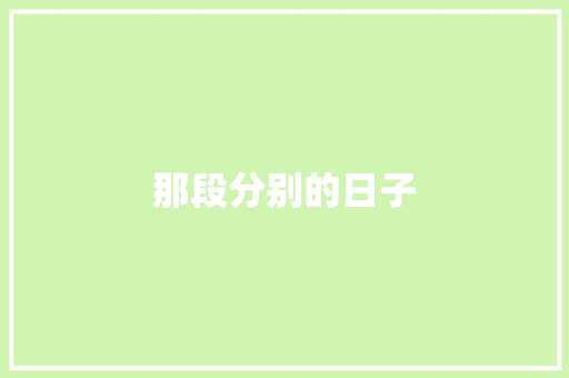 那段分别的日子