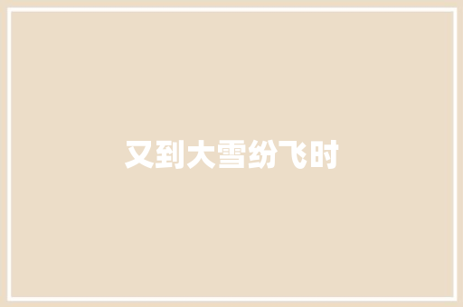 又到大雪纷飞时