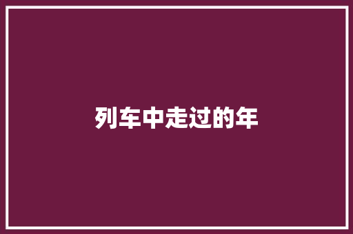 列车中走过的年