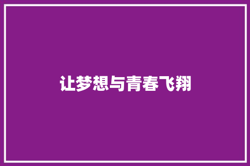 让梦想与青春飞翔