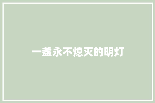 一盏永不熄灭的明灯