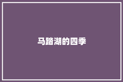 马踏湖的四季