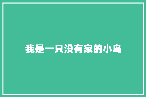 我是一只没有家的小鸟