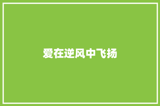 爱在逆风中飞扬