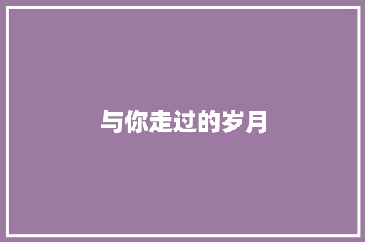 与你走过的岁月
