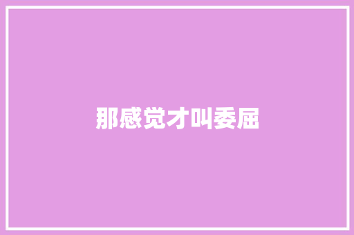 那感觉才叫委屈