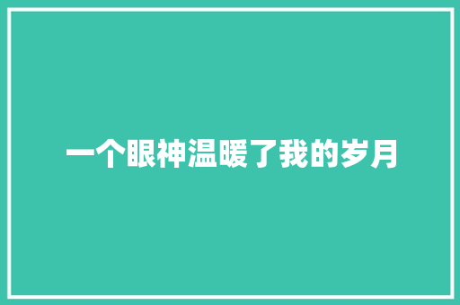 一个眼神温暖了我的岁月