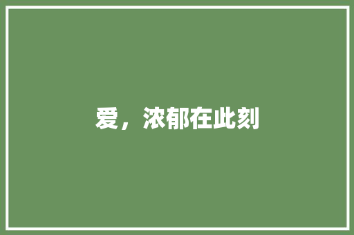 爱，浓郁在此刻