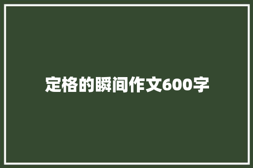 定格的瞬间作文600字
