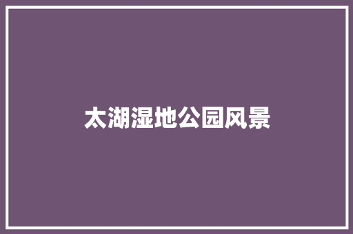 太湖湿地公园风景